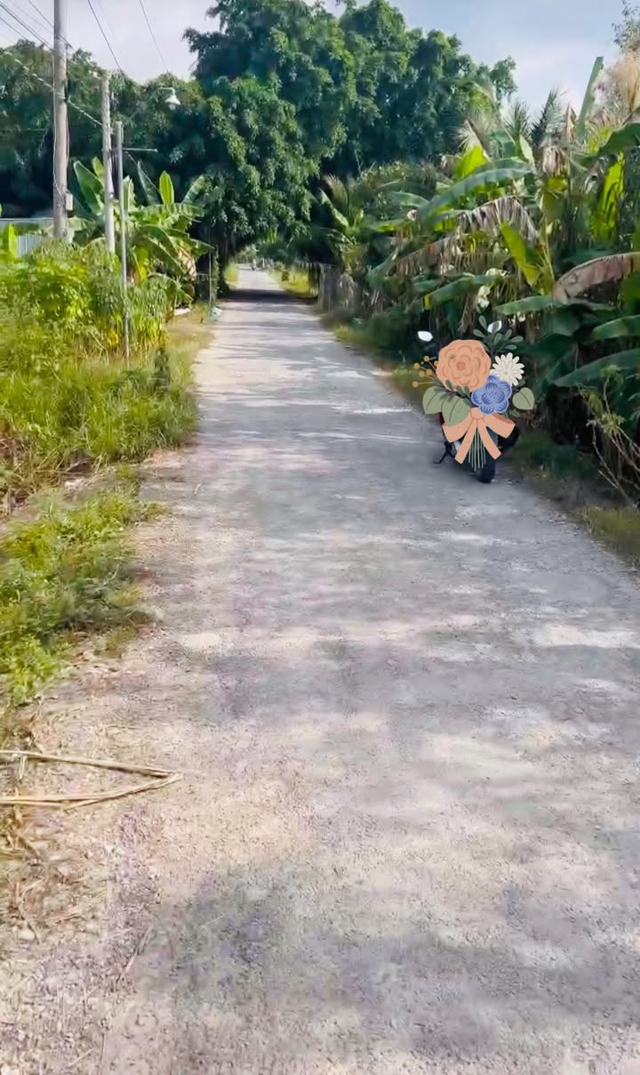 Đất nền Đông Thành, Bình Minh, Vĩnh Long 80m² chỉ 200 triệu - Cơ hội đầu tư tuyệt vời!