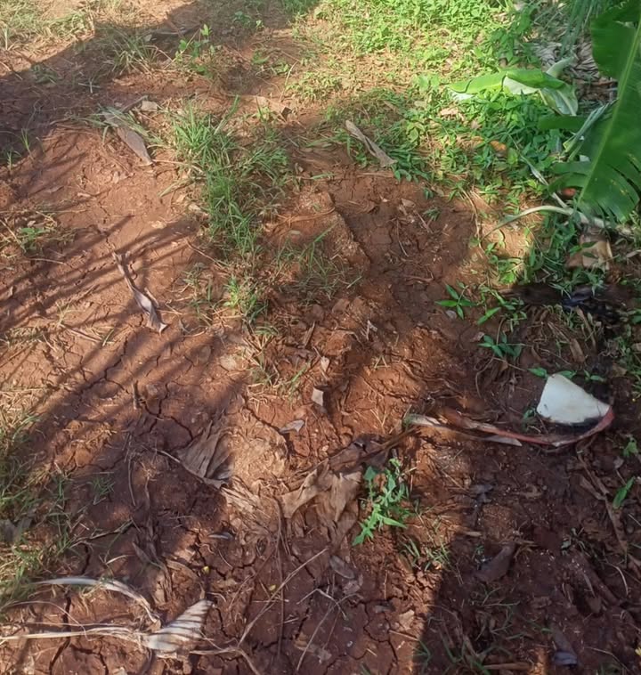 Đất nền 1800m² tại Thị trấn Ea Kar, giá 1.1 tỷ - Cơ hội đầu tư tuyệt vời!