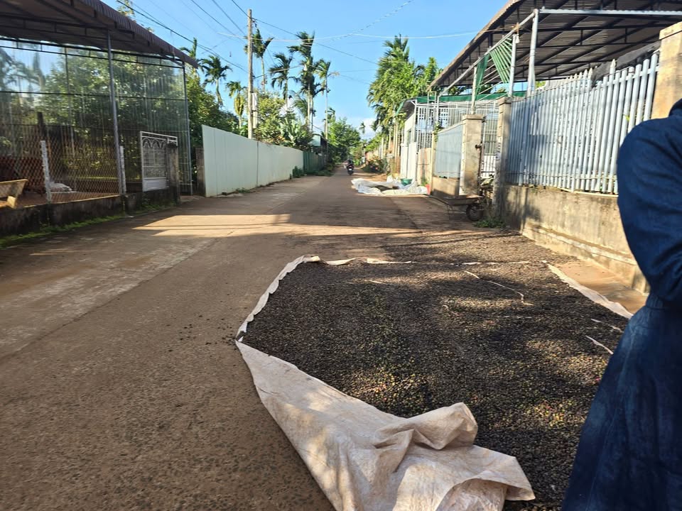 Nhà riêng tại Ea Yông, Krông Pắc 144m² giá 1.87 tỷ - Chính chủ bán gấp!