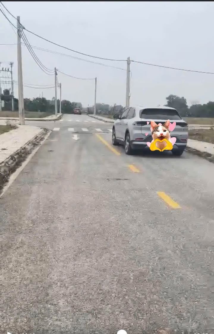 Đất nền lô góc Dân Quyền, Tam Nông 140m² - Giá đầu tư tốt chỉ 200 triệu