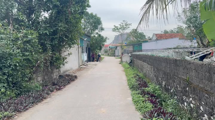 Đất nền Hoàng Mai, Nghệ An 95m² giá 800 triệu - Sổ đỏ chính chủ, vị trí đắc địa!