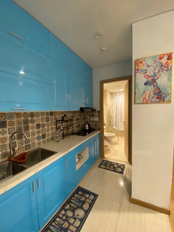 Studio cho thuê Tòa B BIM Bãi Cháy 4.5 triệu - Full nội thất, phù hợp cho 1-2 người!