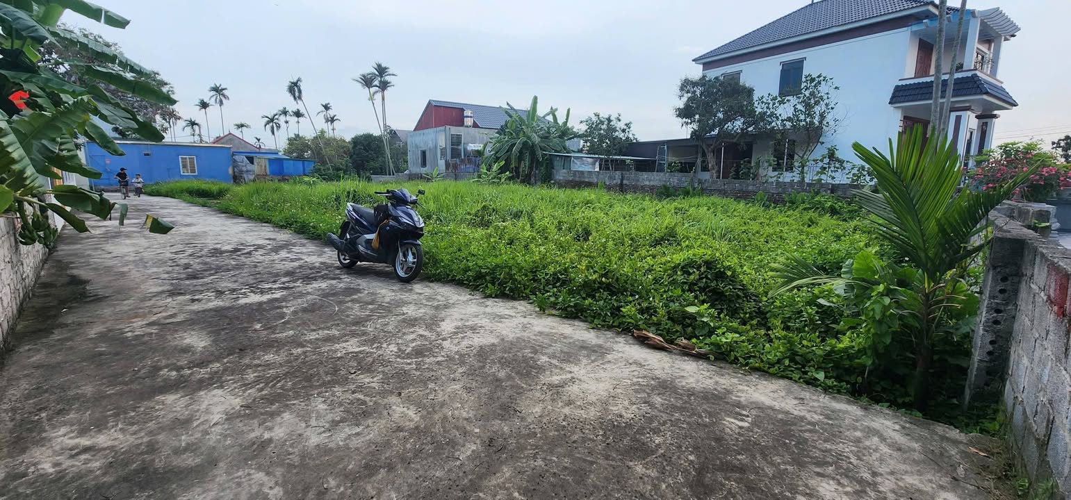 Đất nền Trường Thọ, An Lão, Hải Phòng 68m² giá 800 triệu - Cơ hội đầu tư hiếm có!