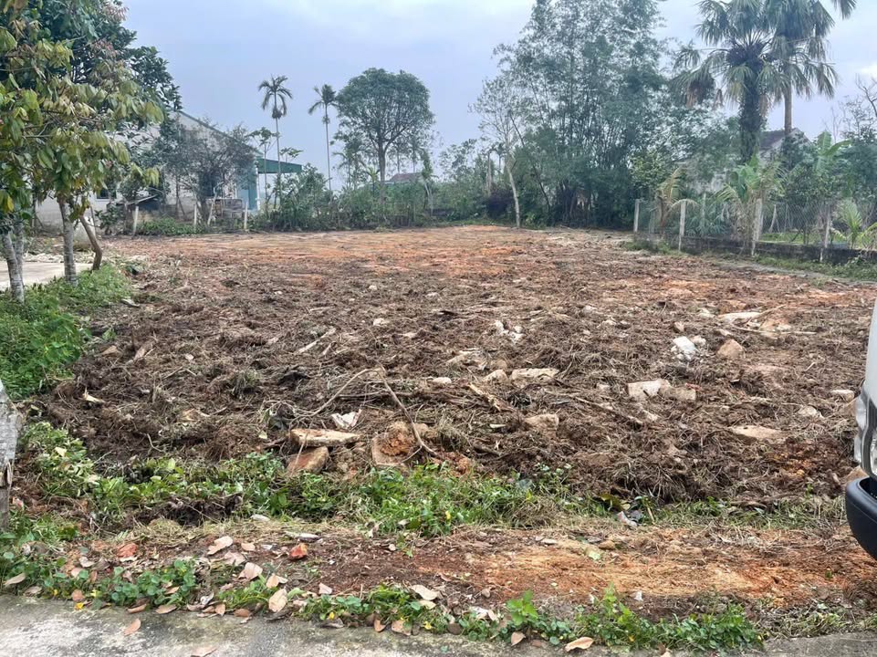 Đất thổ cư thôn Nam Bình, Thạch Đài 520m² giá 3 tỷ - Cơ hội đầu tư tuyệt vời!