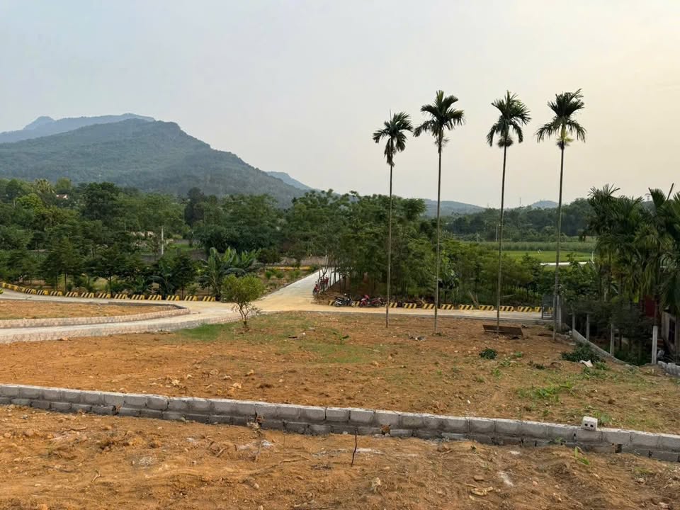 Đất nền Ba Trại - Ba Vì 546m² giá 3 tỷ - Lô góc view đẹp, kinh doanh tốt!