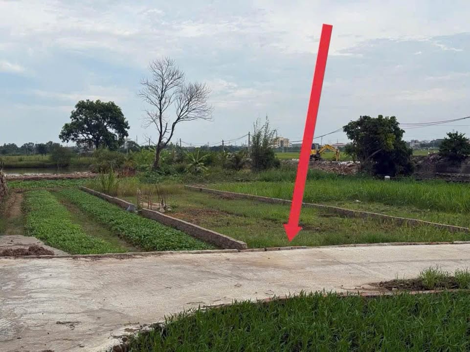 Đất nền thôn Phú Dư, Gia Bình, Bắc Ninh 106m² - Cơ hội đầu tư hấp dẫn!