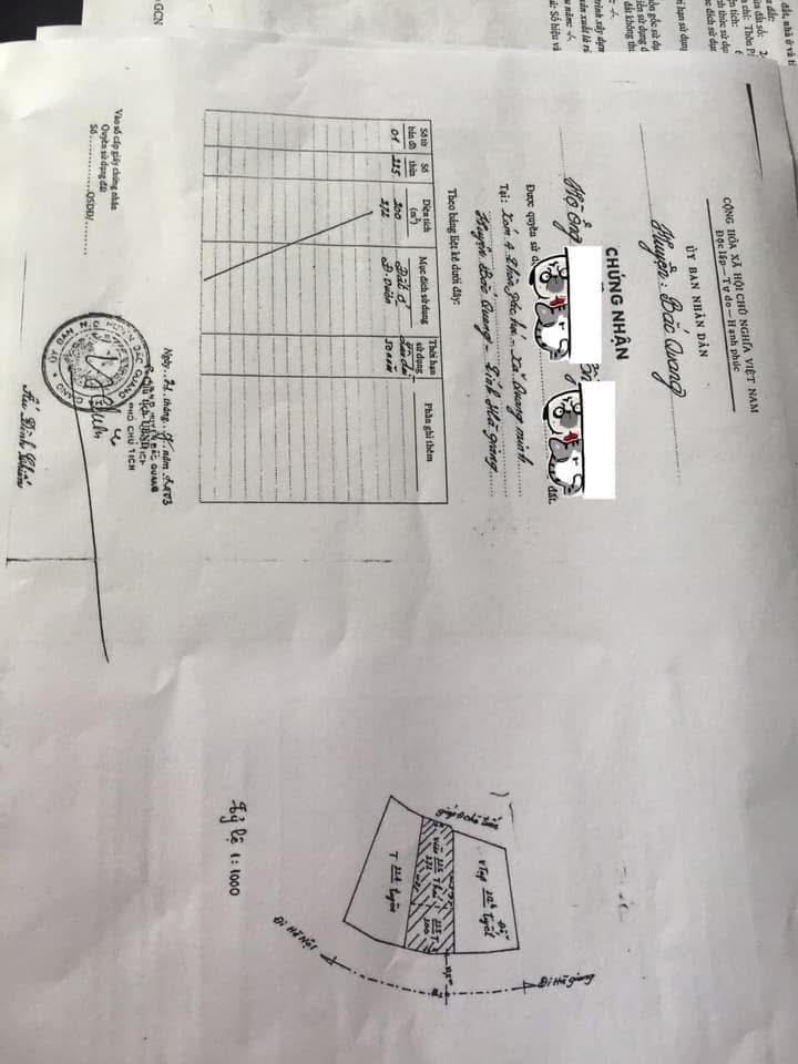 Đất thổ cư QL2 Bắc Quang 2590m² - Phù hợp mở xưởng, đầu tư sinh lời!