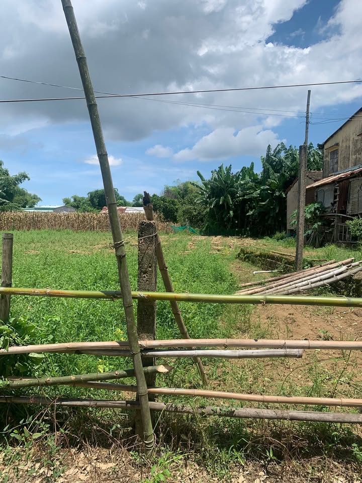 Đất nền Điện Phong 343m² giá 700 triệu - Đầu tư sinh lời ngay!