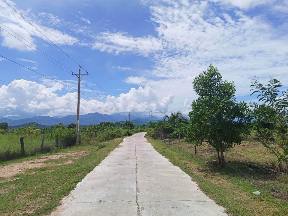 Đất nền CLN 1000m² tại Mỹ Sơn, Ninh Thuận - Giá chỉ từ 100 triệu!