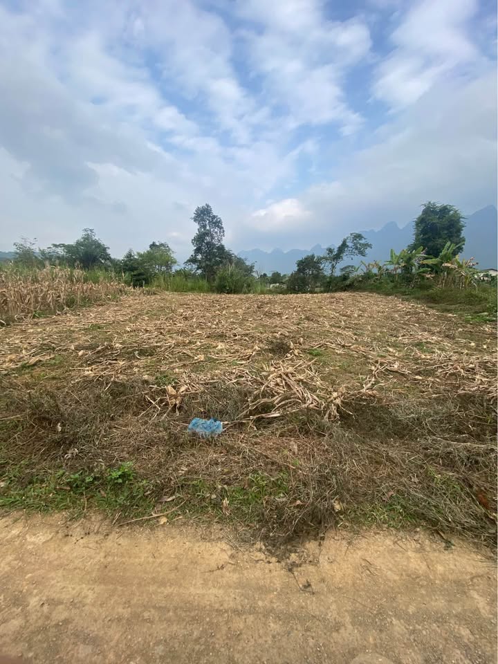 Đất nền Phong Quang Vị Xuyên 510m² giá 750 triệu - Đầu tư sinh lời ngay!