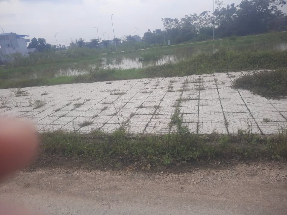 Lô đất đẹp 100m² tại Phường Đông Sơn, Thanh Hóa chỉ 1.3 tỷ - Cơ hội đầu tư hiếm có!