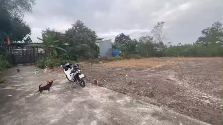 Đất nền Hòa Phong Đà Nẵng 200m² giá 1.3 tỷ - Cơ hội đầu tư sinh lời cao!