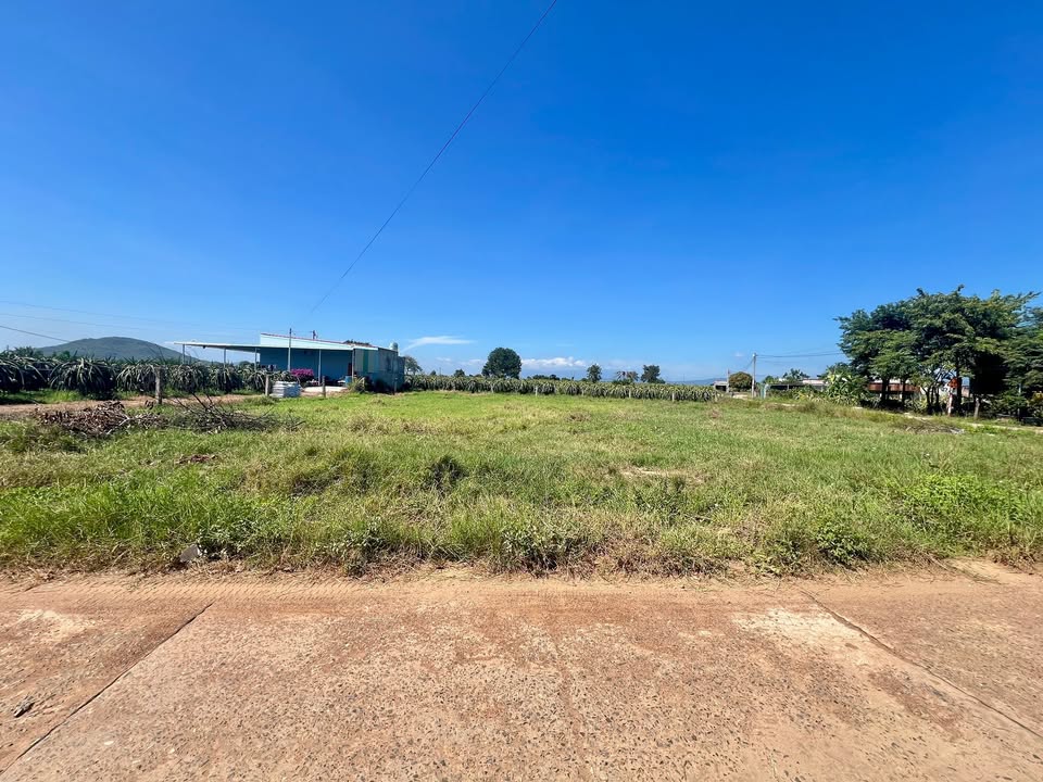 Đất thổ cư 1234m² xã Mương Mán giá 1,2 tỷ - Đường ô tô rộng rãi!