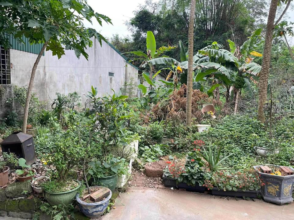 Đất nền Uông Bí 110m² giá chỉ 500 triệu - Cơ hội sở hữu ngay!