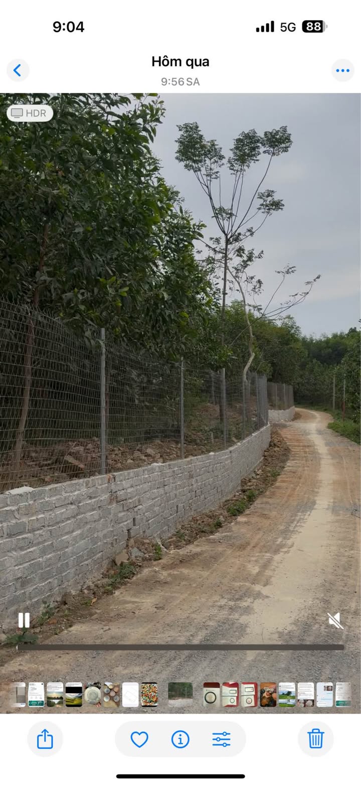 Farm 2ha tại Khe Mo, Đồng Hỷ - Giá thương lượng chính chủ!