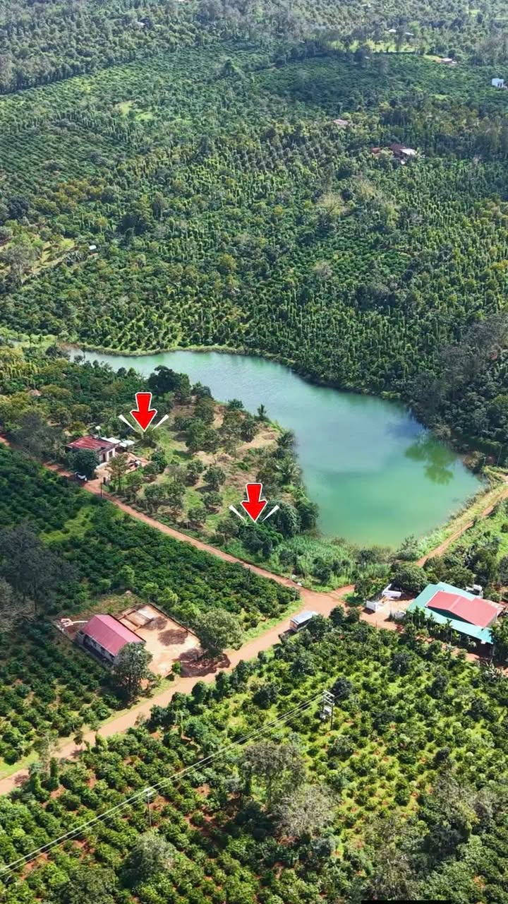 Đất nền Farm Ea Ngai, Đắk Lắk 5400m² chỉ 4.05 tỷ - View hồ tự nhiên hấp dẫn!