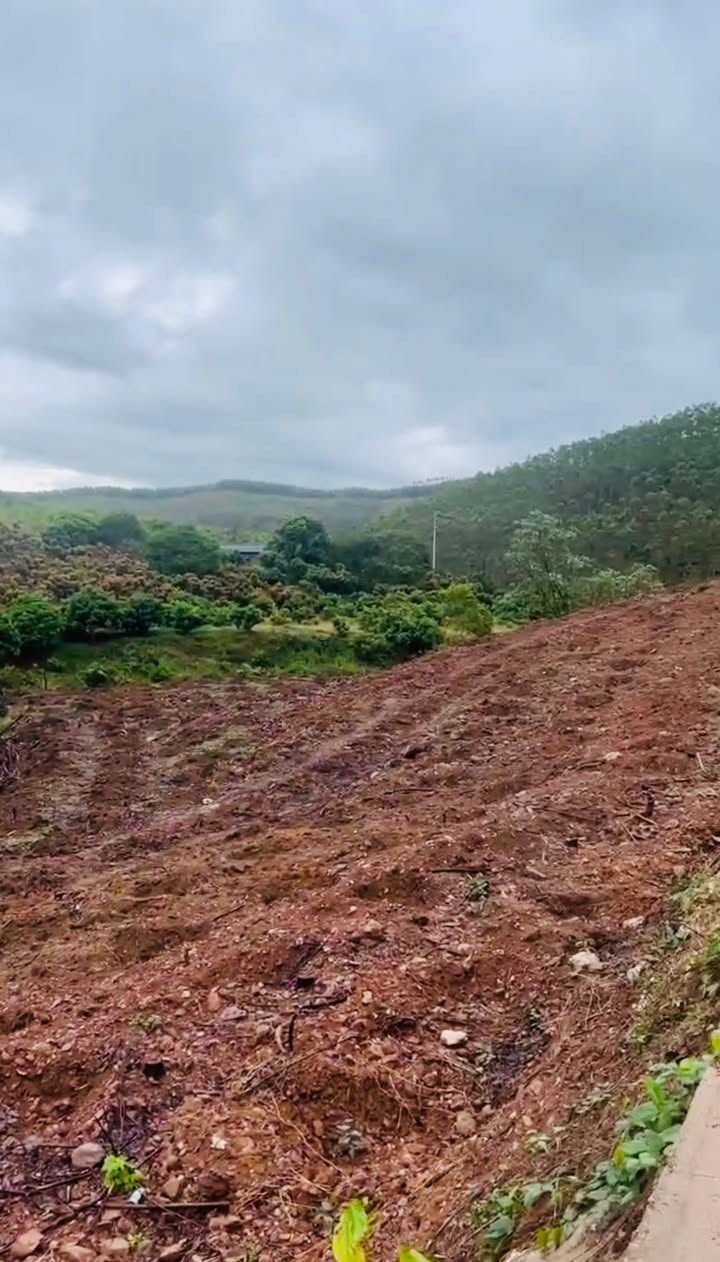 Đất nông nghiệp 6,5ha xã Kiên Thành - Đầu tư dài hạn với 2 mặt tiền và suối tự nhiên!