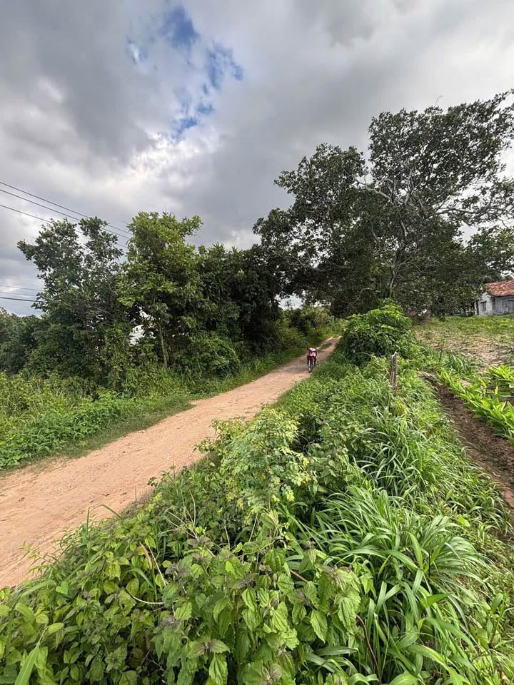 Đất thổ cư 166m² xã Ngok Bay - Giá tốt, cơ hội đầu tư hấp dẫn!