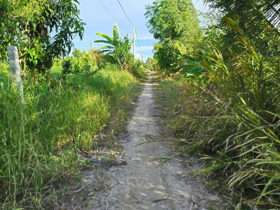 Đất nền Rạch Giá 500m² giá 850 triệu - Hướng Đông, tiện lợi cho đầu tư!