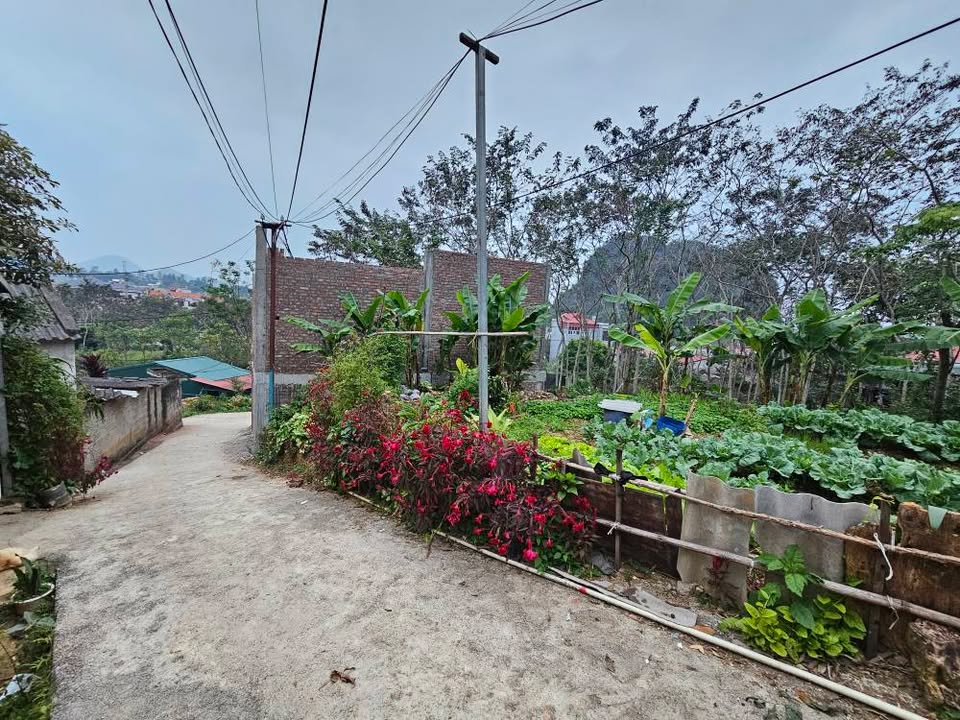 Đất nền Lạng Sơn, 50m² giá 300 triệu - Đầu tư sinh lời khu trung tâm!