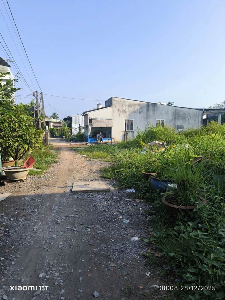 Đất mặt tiền hẻm Nguyễn Quang Đại, phường 5, Tân An 125m² chỉ 990 triệu - Cơ hội đầu tư tuyệt vời!