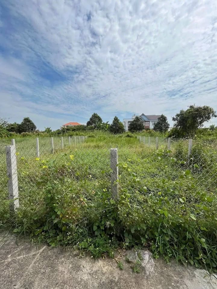 Đất Thổ Cư Bình Tâm Tân An 205m² giá 2.2 tỷ - Đối diện UBND, vị trí đắc địa!