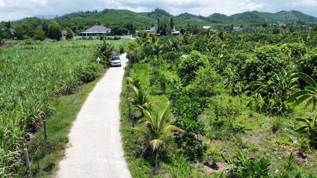 Đất vườn Diên Đồng 500m² giá 490 triệu - Cơ hội đầu tư hấp dẫn!