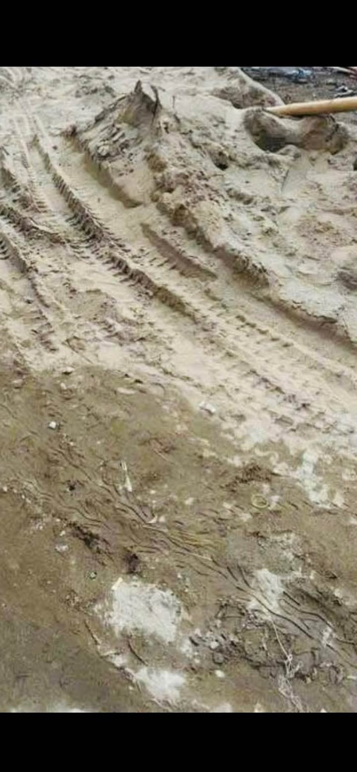 Đất lô góc đường Mỹ Xá, Nam Định 46m² giá 1.3 tỷ - Ô tô vào tận đất!