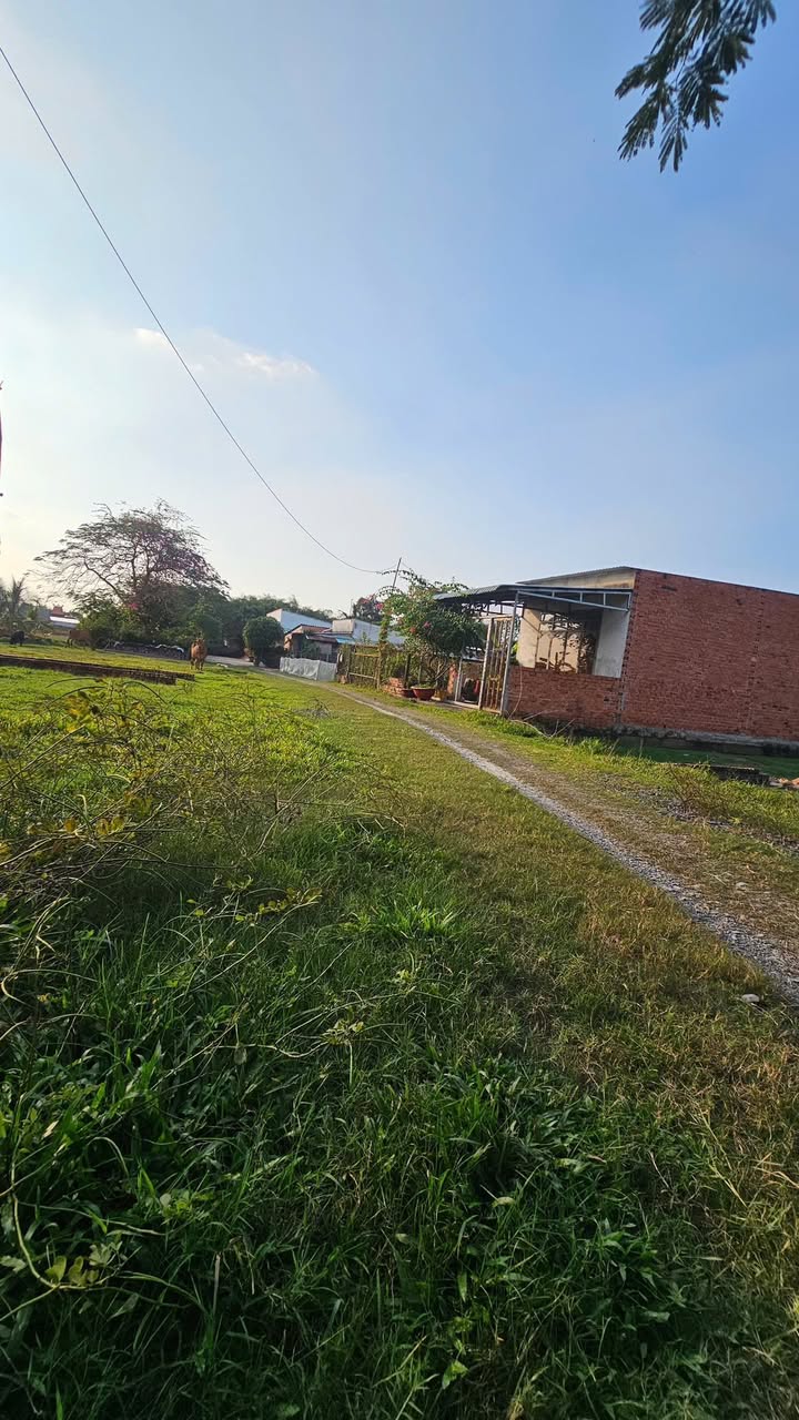 Nhà vườn 1134m² tại Ấp Rừng Sến, Đức Hòa, Long An - Giá chỉ 2.4 tỷ, thương lượng tốt!