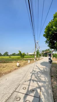 Đất vườn Mỹ Lộc Cần Giuộc 650m² giá 3.65 tỷ - View kênh mát mẻ lý tưởng cho nghỉ dưỡng!