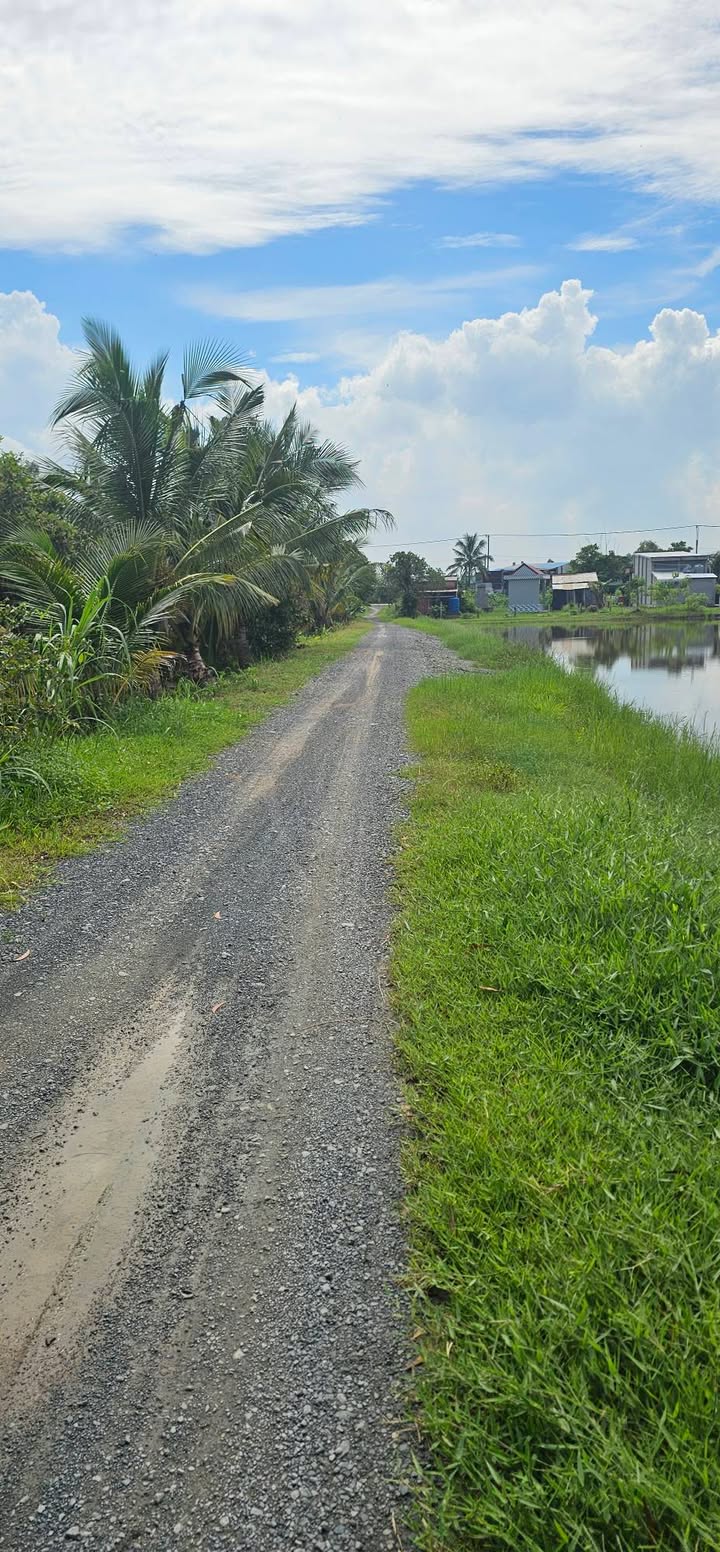 Đất nền Hòa Khánh Tây 3090m² giá 10.3 tỷ - Đầu tư sinh lời ngay!