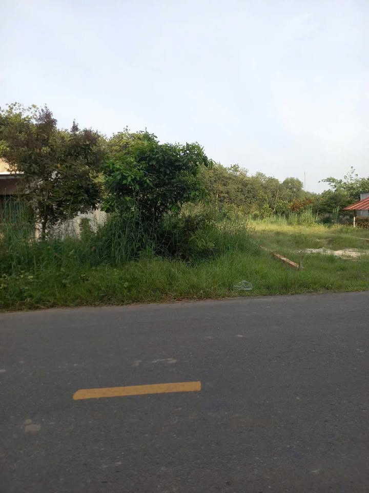 Đất Phước Sang Phú Giáo 300m² giá 1.6 tỷ - Mặt tiền đường nhựa ĐH 504