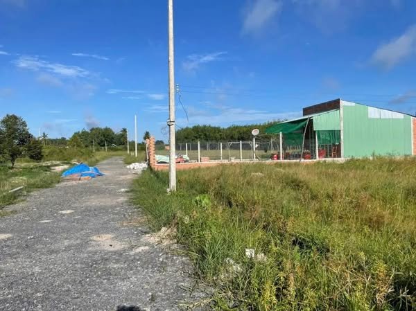 Đất thổ cư Hiệp Thạnh Gò Dầu 139m² giá chỉ 3xx triệu - Đầu tư sinh lời ngay!