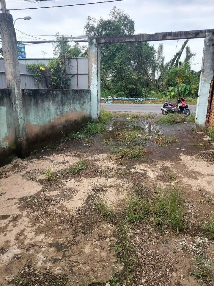 Nhà mặt tiền đường Thanh Niên, Bà Điểm, Hóc Môn 192m² giá 4.2 tỷ - Đầu tư tiềm năng!