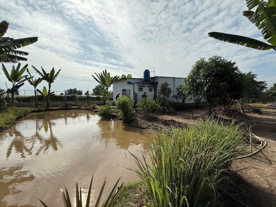 Farm Tân Thới Nhì Hóc Môn 934m² giá 12.5 tỷ - Nhà vườn đầy đủ công năng!