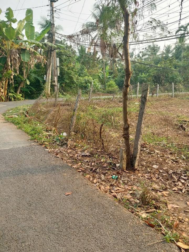 Đất nền mặt tiền 2 đường Tân Phú Đông, Sa Đéc 275m² - Giá tốt chỉ 890 triệu!