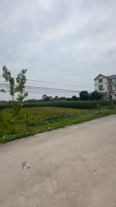 Đất đấu giá Quang Tiến Tân Yên 140m² giá 1.3 tỷ - Cơ hội đầu tư hiếm có!