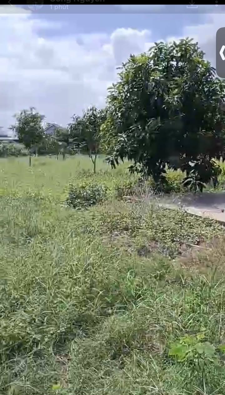 Đất thổ cư Ninh Ích, Ninh Hòa 1000m² giá chỉ 9xx triệu - Phù hợp làm hà vườn!