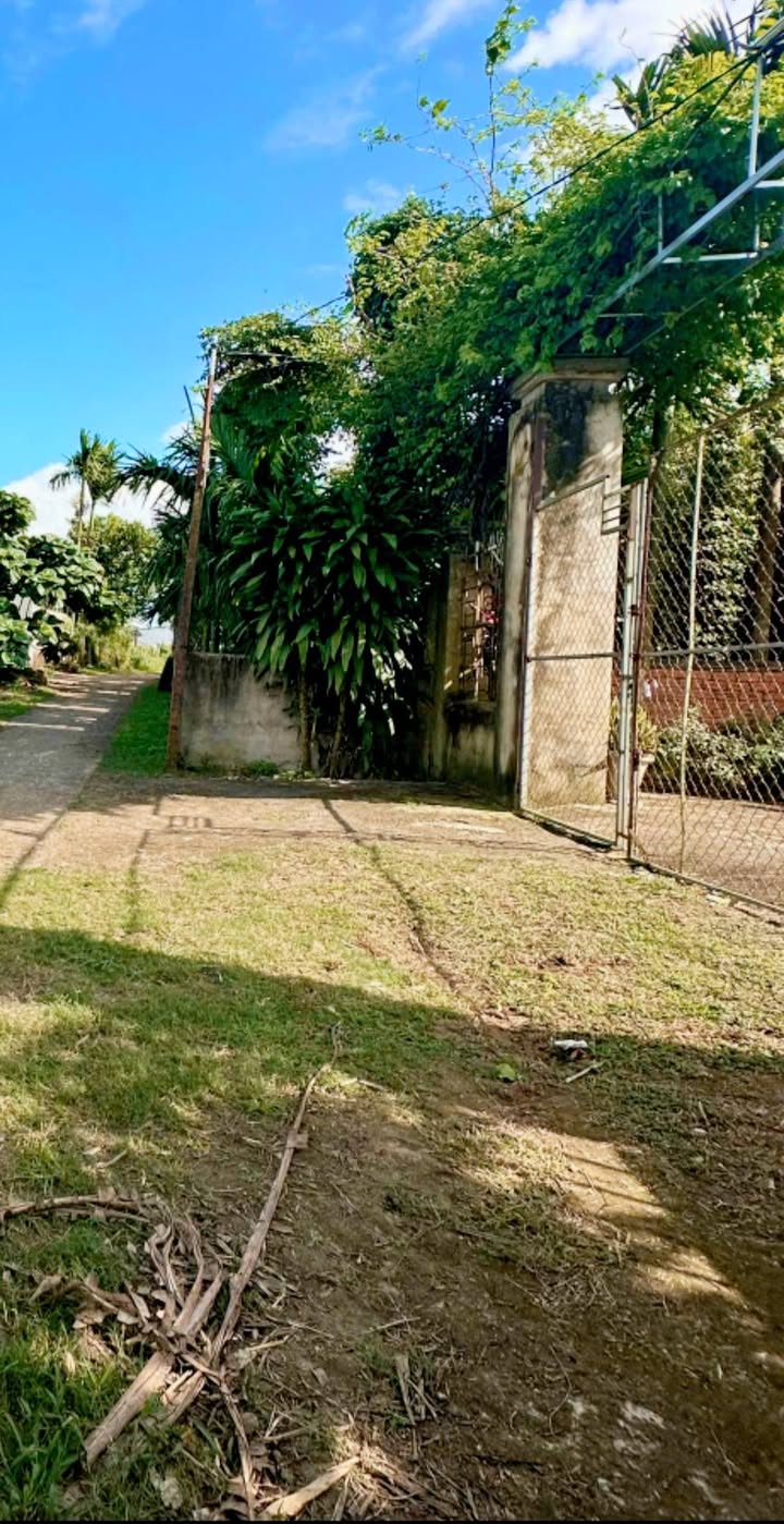 Đất nền Ea Phê, Krông Pắc 1494m² giá 7 tỷ - View đẹp, tiềm năng phát triển!