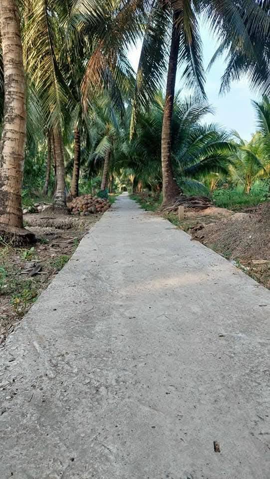 Đất thổ cư Thới Lai, Bình Đại 198m² giá 400 triệu - Đầu tư sinh lời ngay!