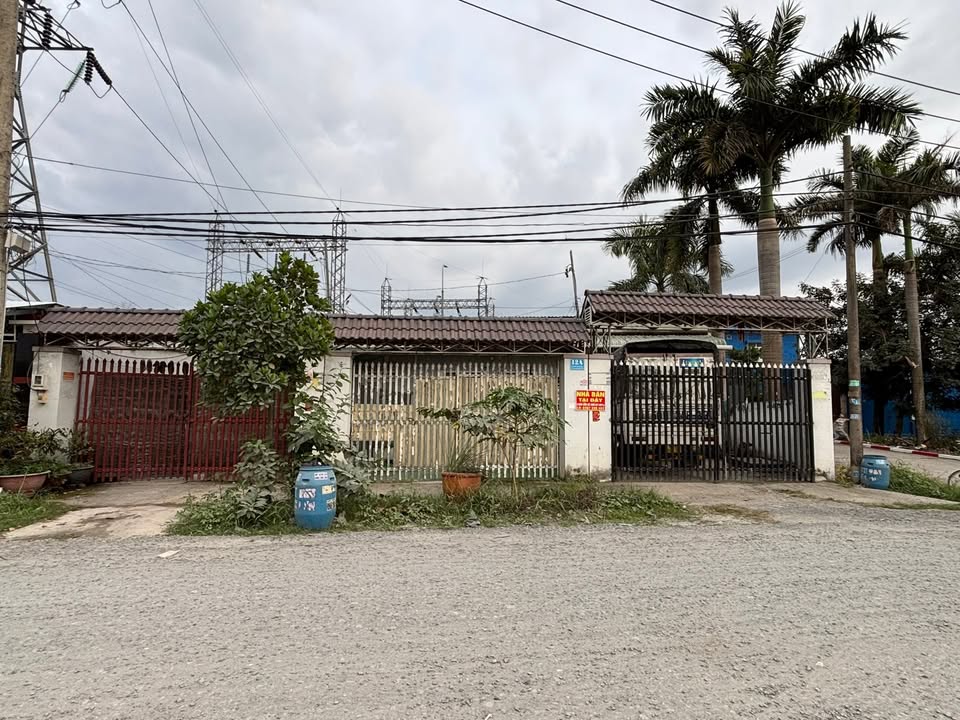 Đất thổ cư 300m² mặt tiền đường Võ Thị Năm, Củ Chi - Đầu tư sinh lời tốt!