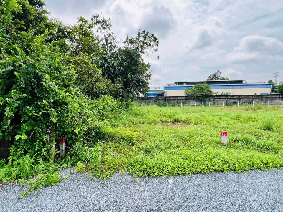 Đất nền Phước Vĩnh An, Củ Chi 150m² chỉ 2 tỷ - Sổ riêng, vị trí thuận lợi!