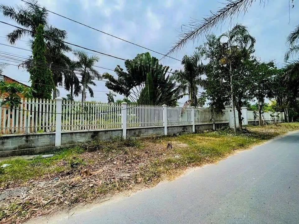 Đất nền góc 3 mặt tiền Bàu Lách, Nhuận Đức, Củ Chi 5.079m² - Đầu tư sinh lời lý tưởng!