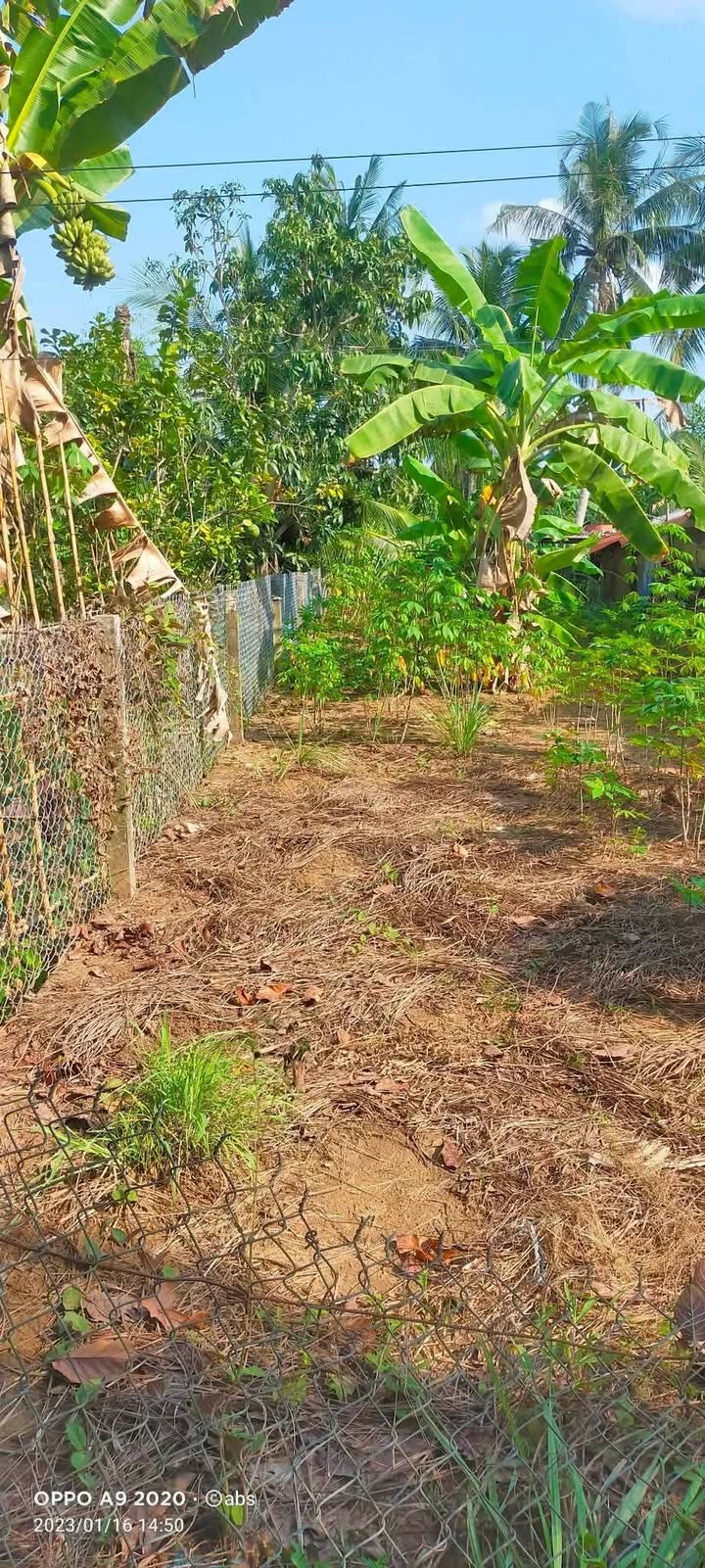 Đất nền 200m² tại Thới An Đông, Bình Thủy, Cần Thơ - Gần chợ, giao thông thuận tiện!