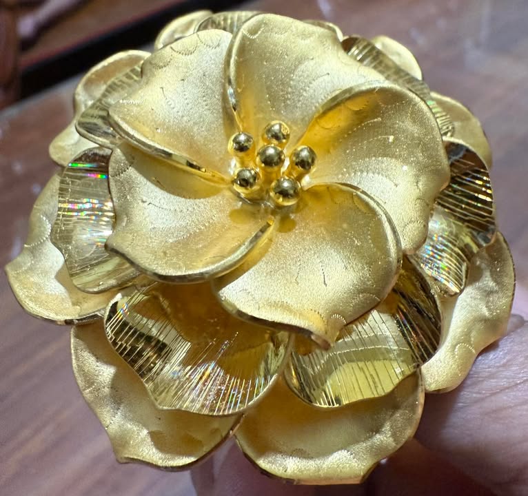 Đất nền 2 mặt tiền An Bình, Ninh Kiều 1.000m² giá thỏa thuận - Cơ hội đầu tư tuyệt vời!