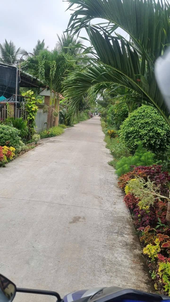 Đất nền 147m² tại Nhị Quý, Đồng Tháp giá chỉ 840 triệu - Sẵn sàng đầu tư!