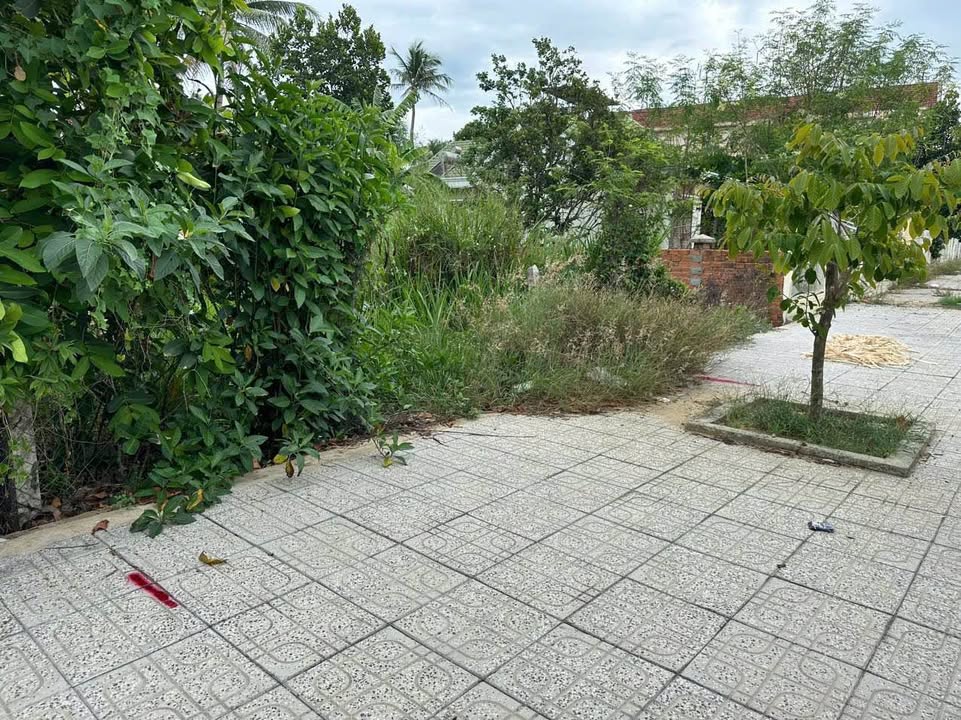 Đất nền mặt tiền Tỉnh Lộ 2, Diên Lạc 133.5m² giá 3.4 tỷ - Vị trí kinh doanh lý tưởng!