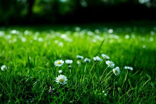 Đất nền Cam Phúc Bắc Cam Ranh 286m² giá 100 triệu - Đầu tư sinh lời ngay!