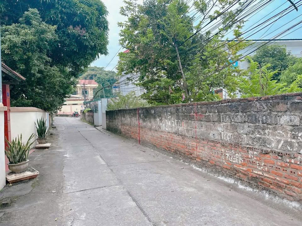 Đất nền Nông Trang, Việt Trì 67.5m² - Giá tốt, vị trí đắc địa!