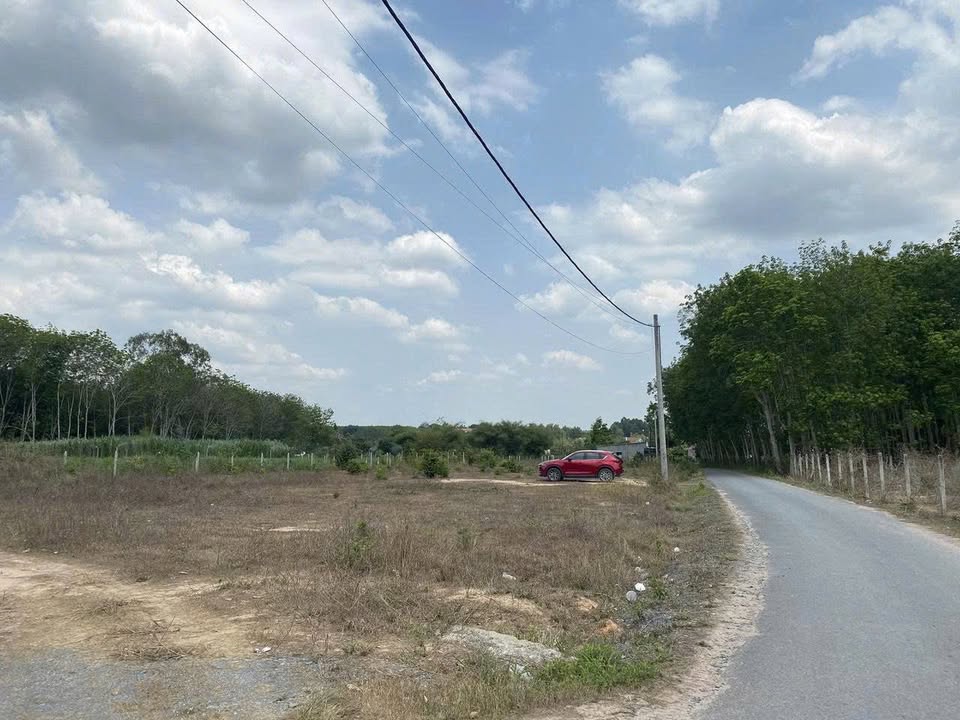 Đất mặt tiền Nguyễn Thị Rành, Phú Mỹ Hưng Củ Chi 2743m² giá 16.5 tỷ - Đầu tư sinh lời lý tưởng!